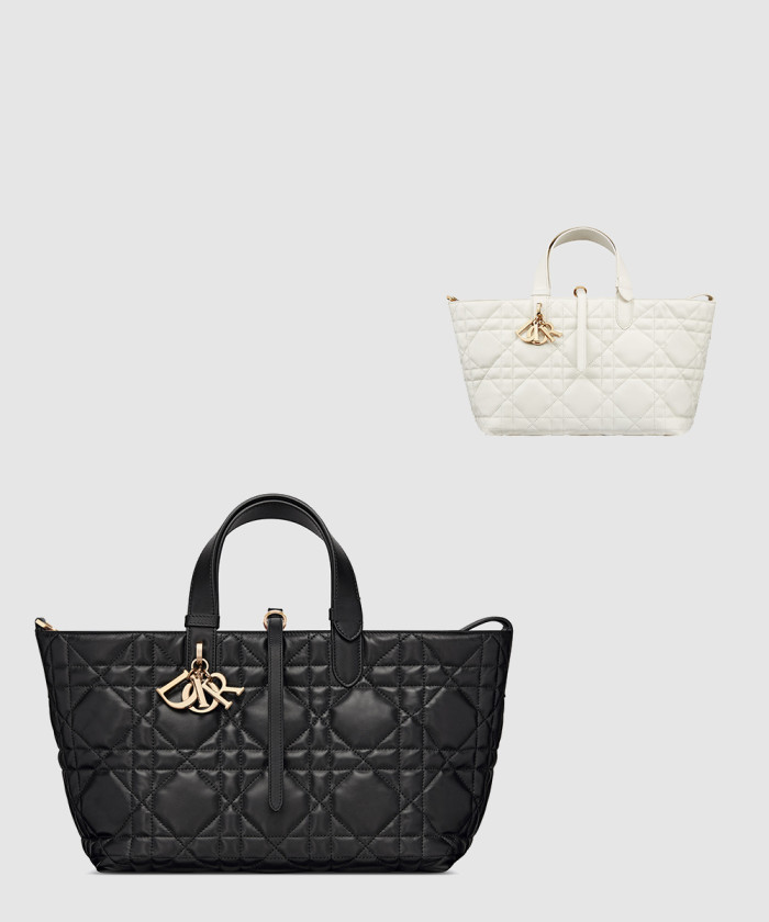 디올 미듐 뚜주흐 토트백 M