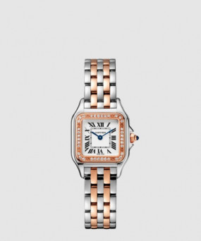 까르띠에 팬더 드 까르띠에 워치 22 W3PN0006