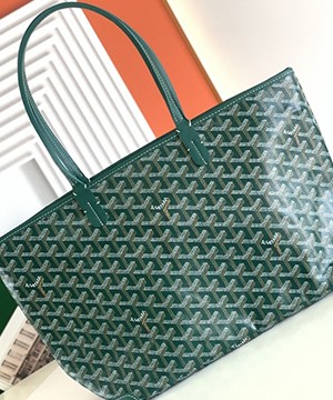 고야드 아르투아 MM 숄더백