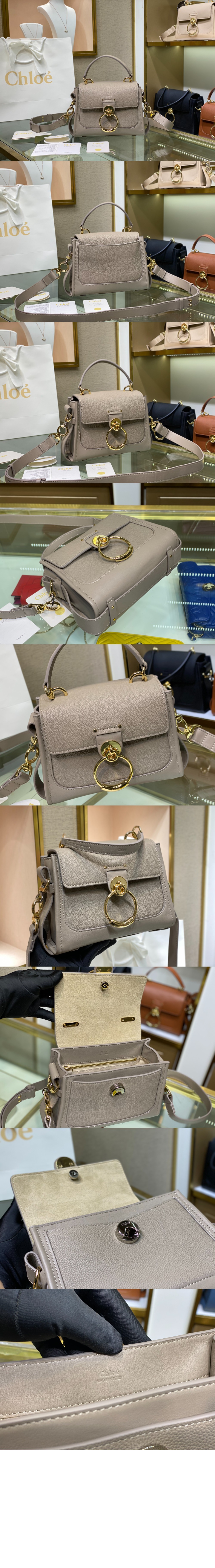 끌로에 테스 미니 데이백 SS143