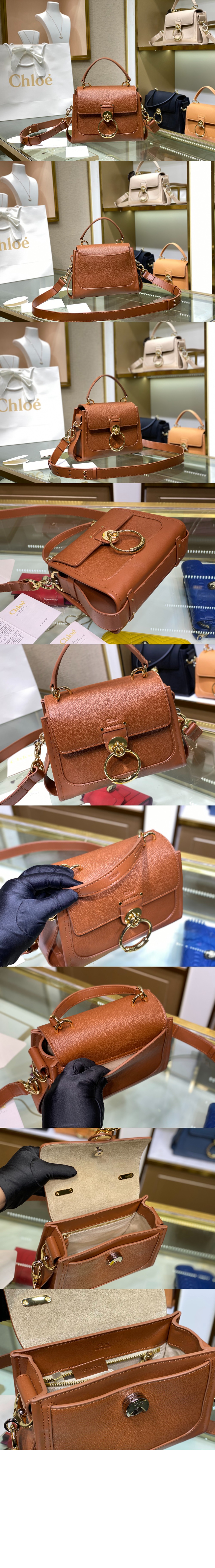 끌로에 테스 미니 데이백 SS143