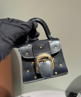 델보 브리앙 초미니백 11/6.5/10 cm