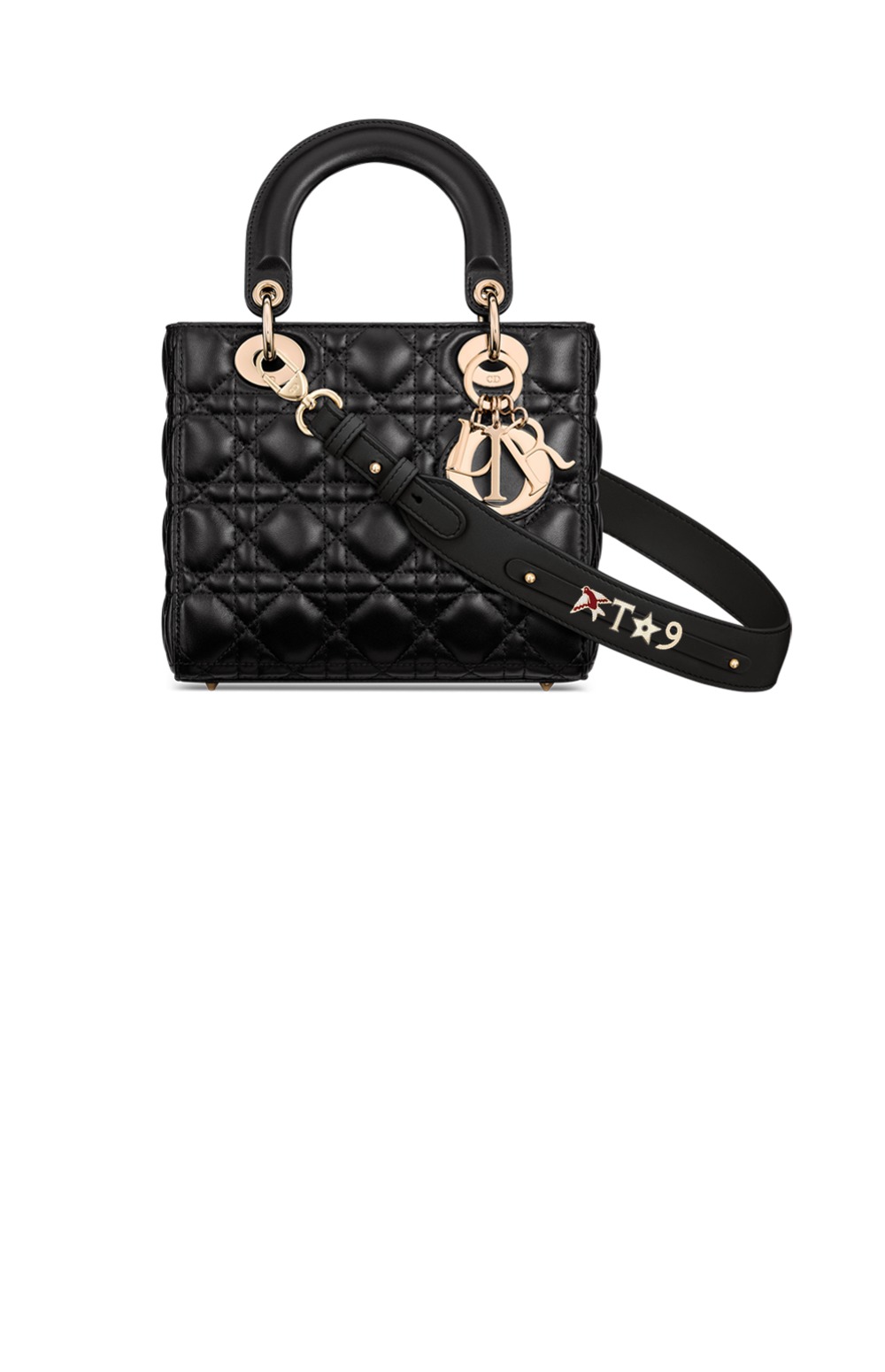 디올 레이디백 ABC M0538