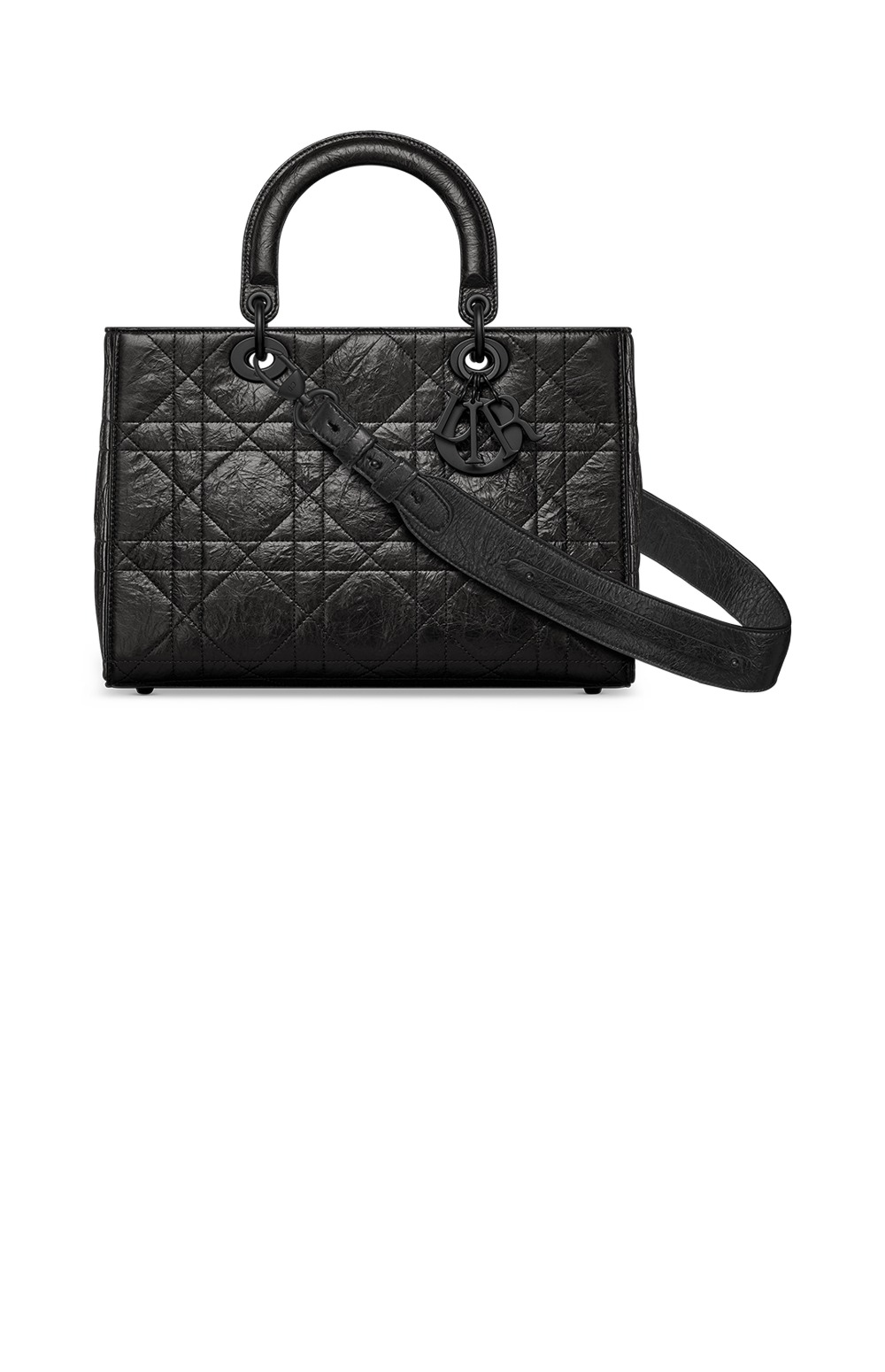 디올 디자이어 레이디백 ABC M1151