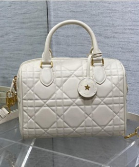 디올 그루브 토트백 25