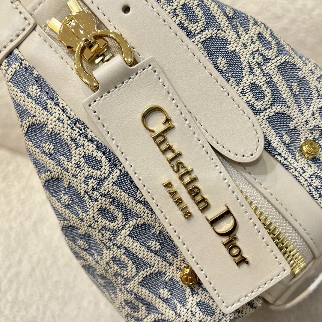 디올 디저니백 스몰