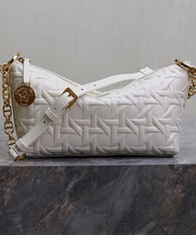 디올 스타 체인 호보 백