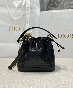 디올 졸리 버킷백 스몰 매크로 까나쥬