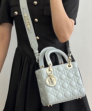 디올 레이디 까나쥬 백 20