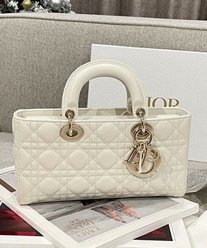 디올 레이디 디조이 미디움 백