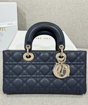 디올 레이디 디조이 미디움 백