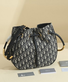 디올 노리타 미듐 백 오블리크 블루