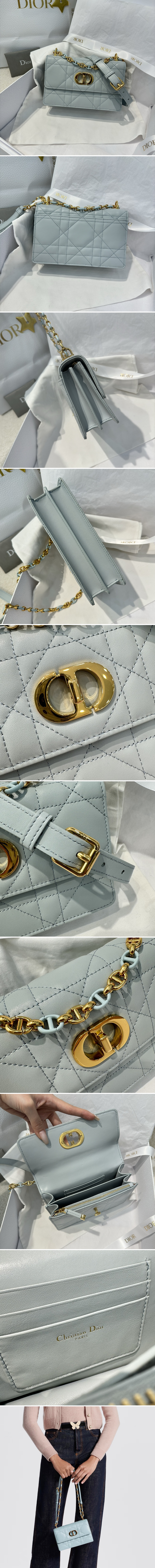 디올 카로 램 마크로캔 미니 레더