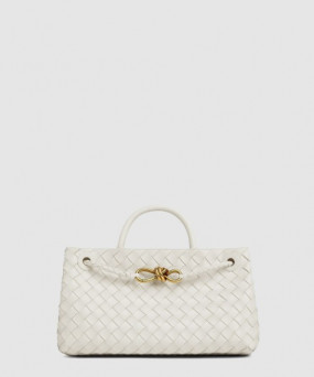 보테가베네타 스몰 EW 안디아모 754990