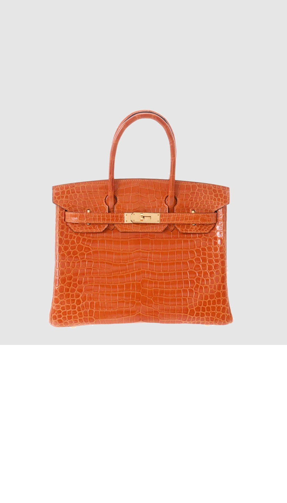 에르메스 버킨백 크로커