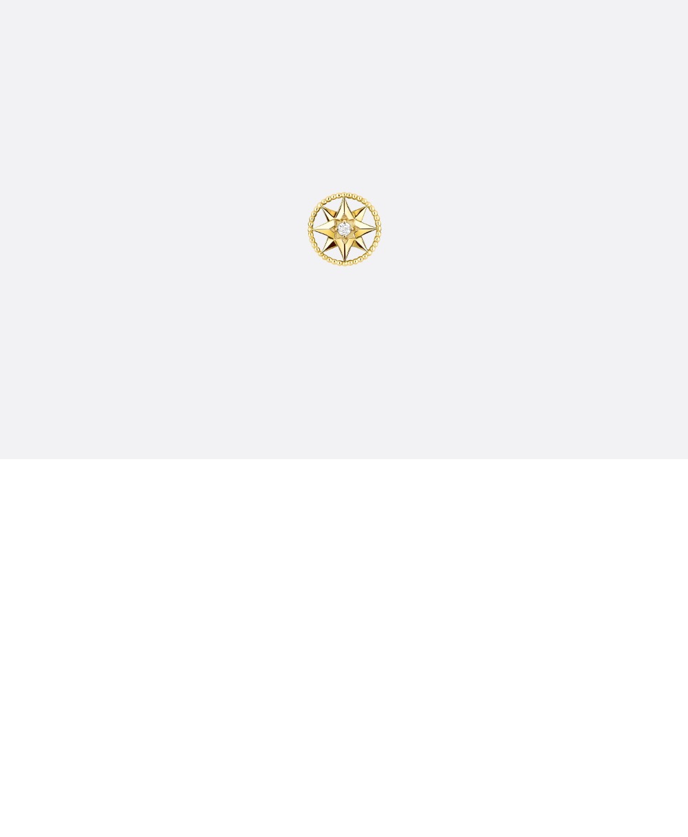 디올 Rose des Vents 스몰 귀걸이 JRDV9