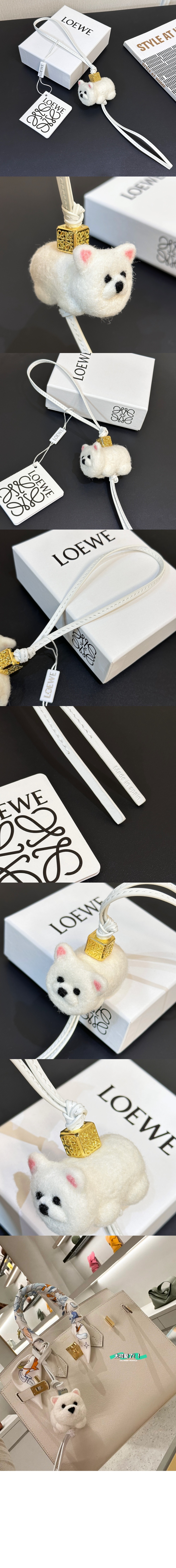 로에베 차우차우 참