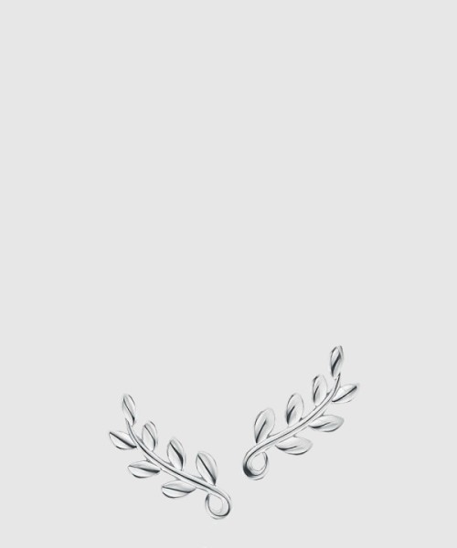 티파니앤코 올리브 리프 클라이머 귀걸이
