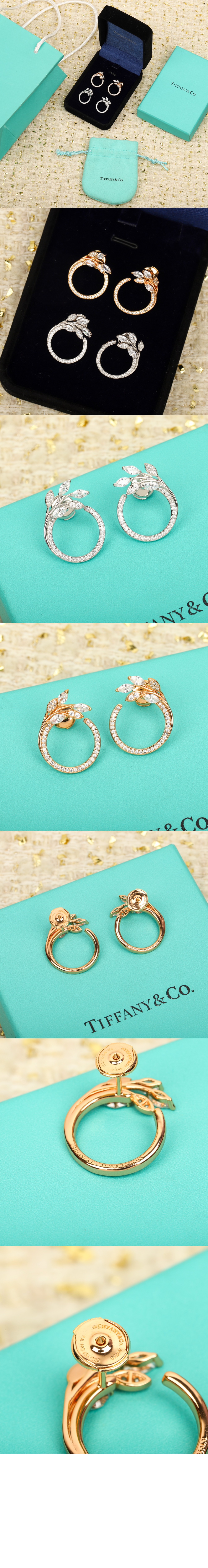 티파니앤코 큐빅 넝쿨 귀걸이